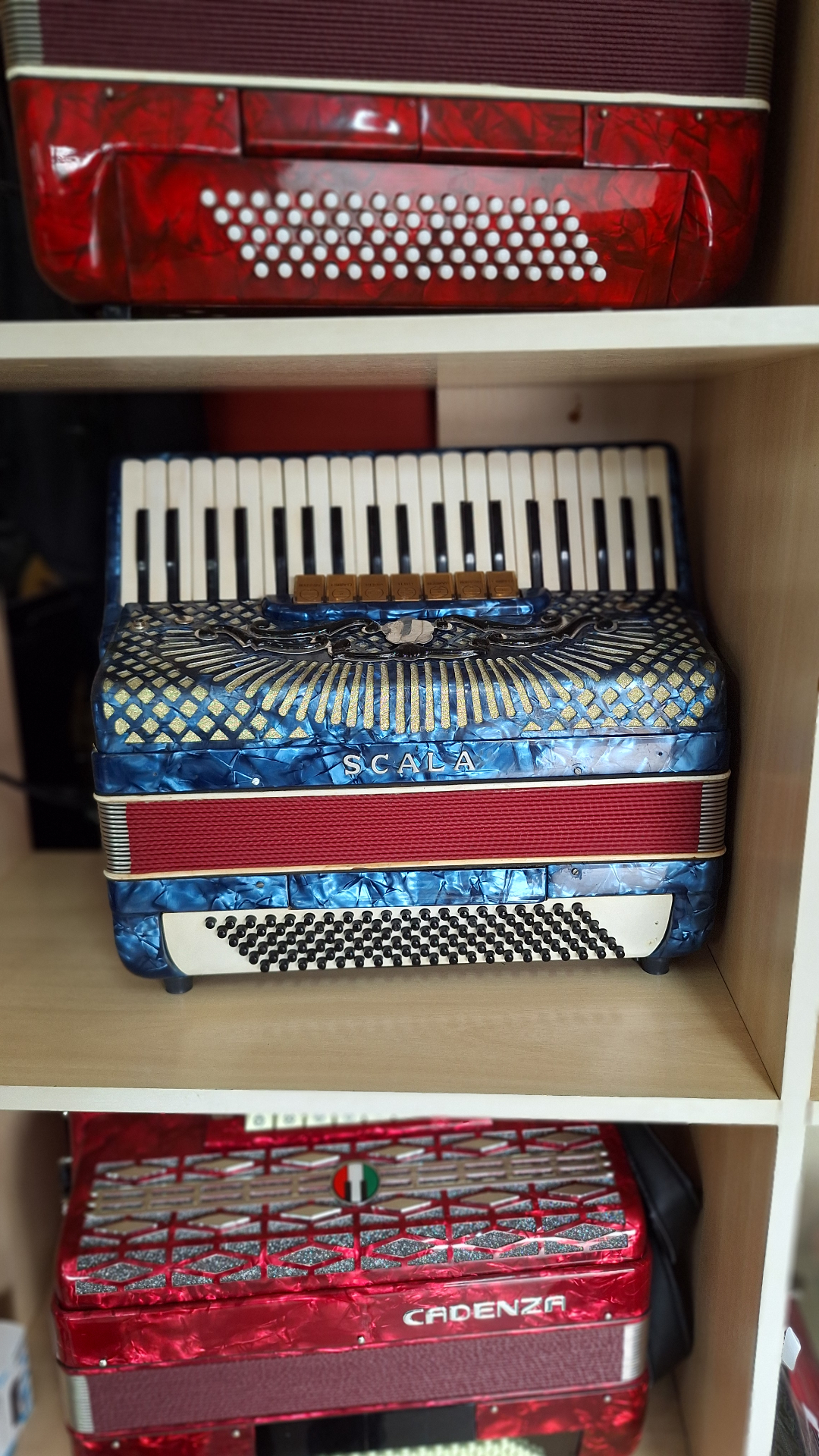 Acordeons em exposição na loja Edsom Instrumentos Musicais
